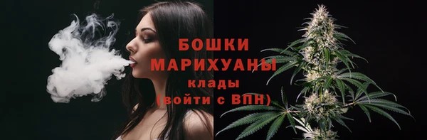 молекула духа Покровск