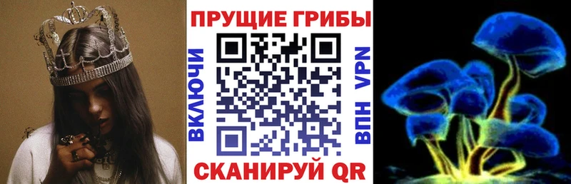 blacksprut   где продают   Благодарный  Галлюциногенные грибы мухоморы 